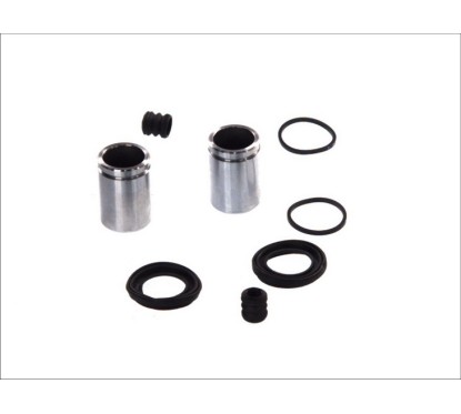 PIDURISADULA REM.KPL