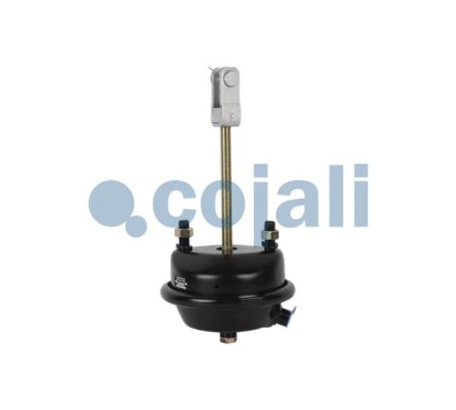 TRUMMELPIDURI KAMBER T24