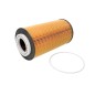 DAF ÕLIFILTER