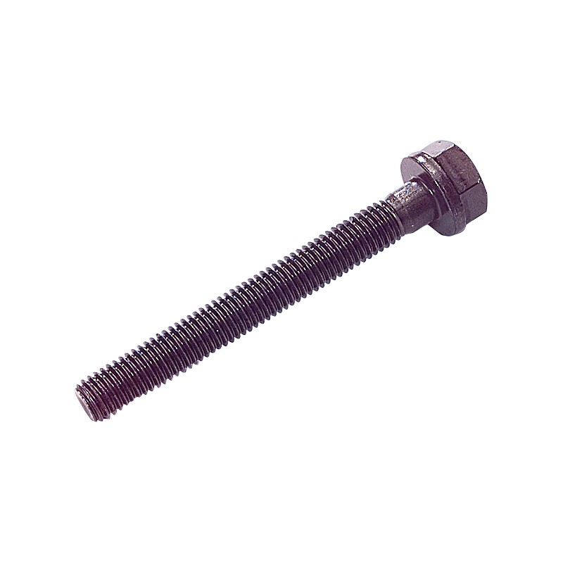 KOLLEKTORI POLDID MB