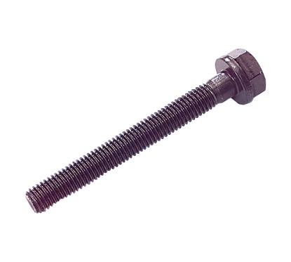 KOLLEKTORI POLDID MB